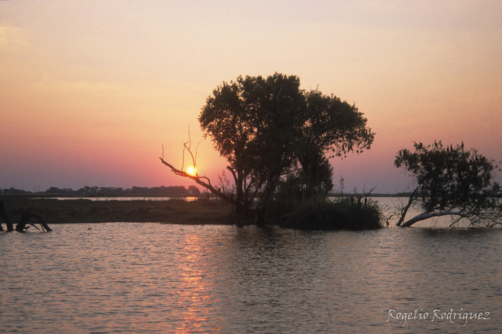Delta del Okavango 2.002